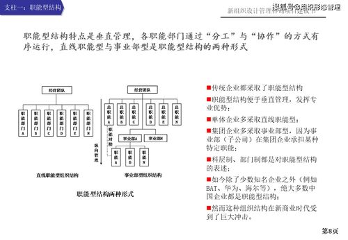 新组织设计管理咨询项目建议书