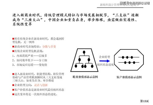 新组织设计管理咨询项目建议书